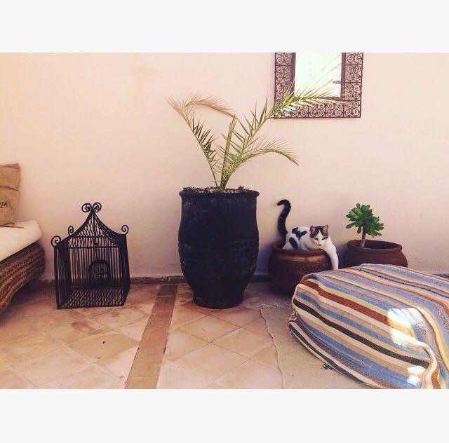 Riad Nejma Lounge Марракеш Экстерьер фото