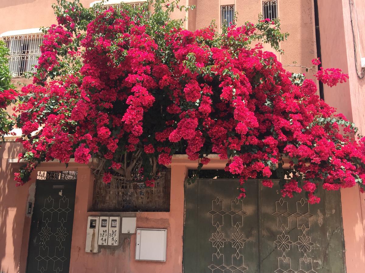 Riad Nejma Lounge Марракеш Экстерьер фото
